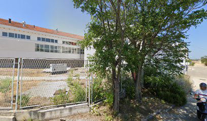 LAGUR (FLAG) LANTERNA