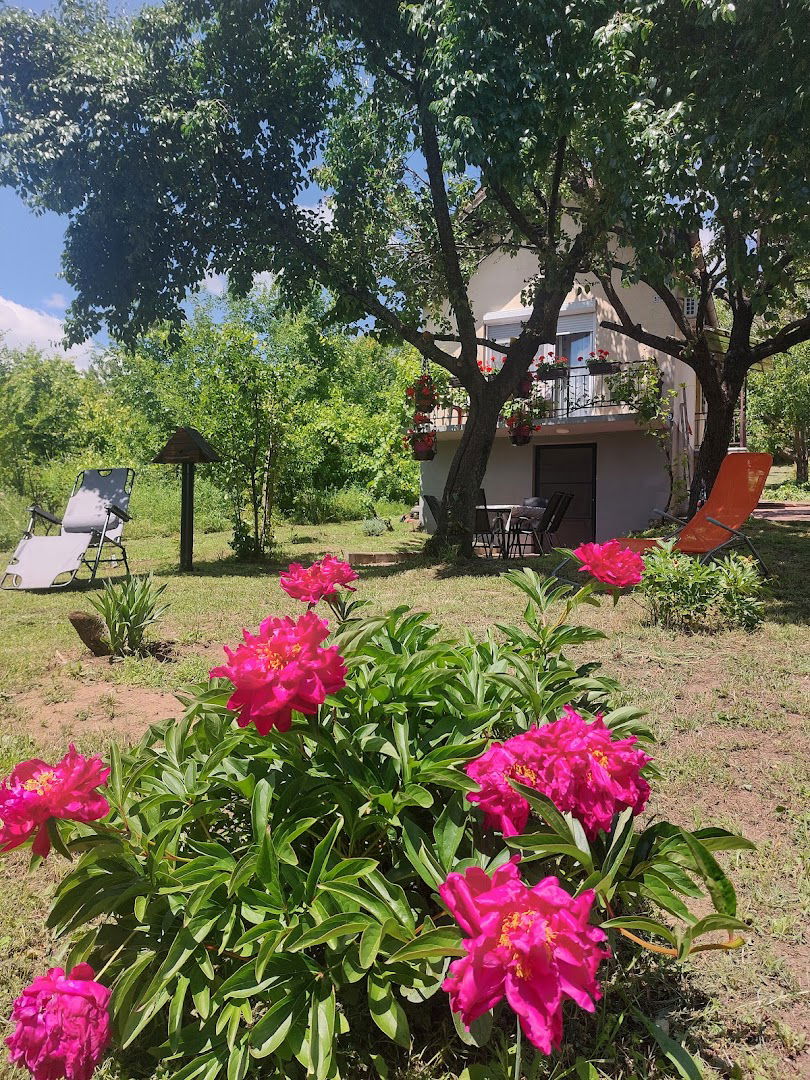 Slankamenački Vinogradi