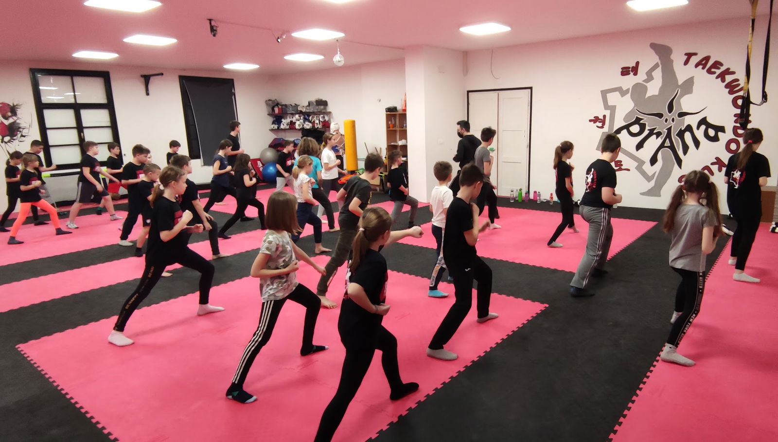 TaeKwonDo Klub Prana