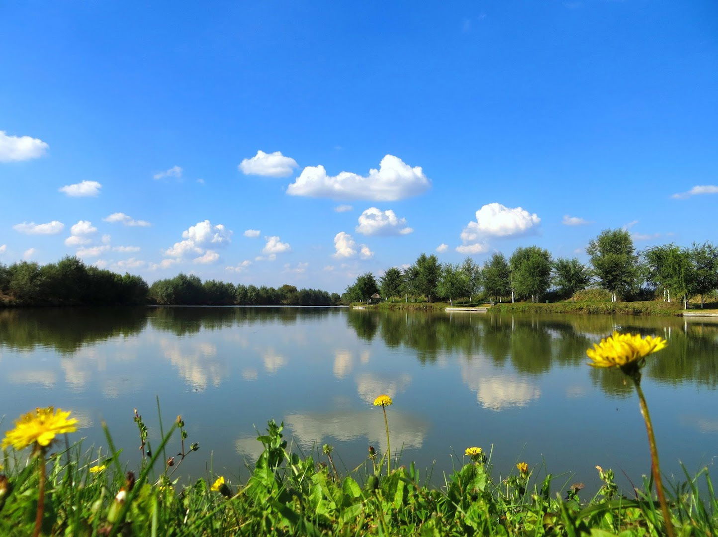 Бечменска бара