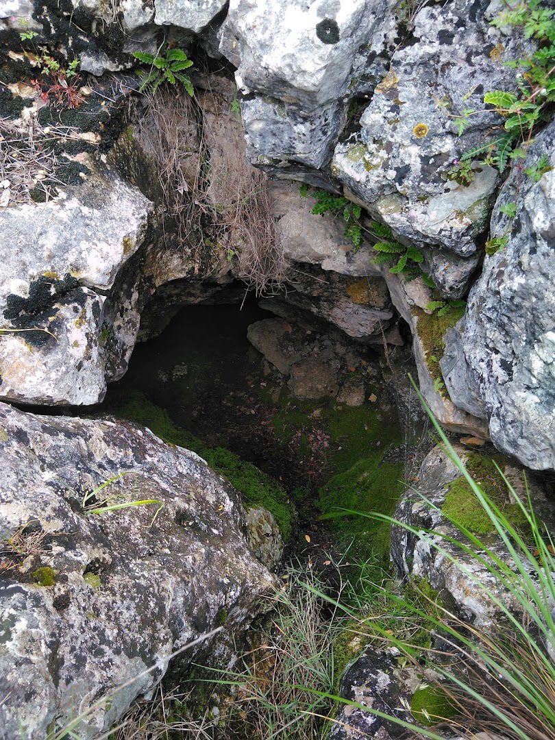 Vilinska Jama Vodiška