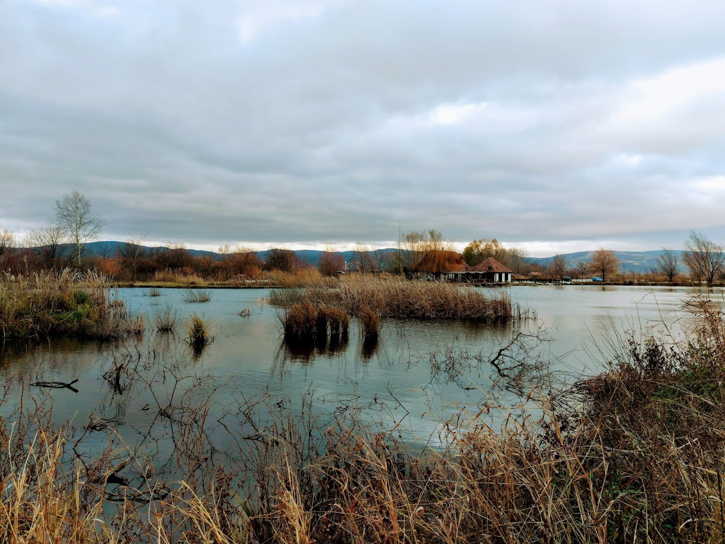 Spomenik Žrtvama Nacizma