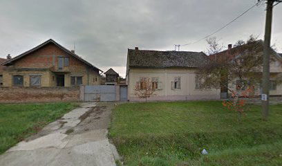 Level Up Škola jezika