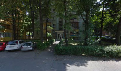 Pet Service Little Black Dog