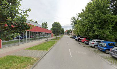 Priča o biciklu Od Leonarda da Vincija do danas - replika bicikla Steyer