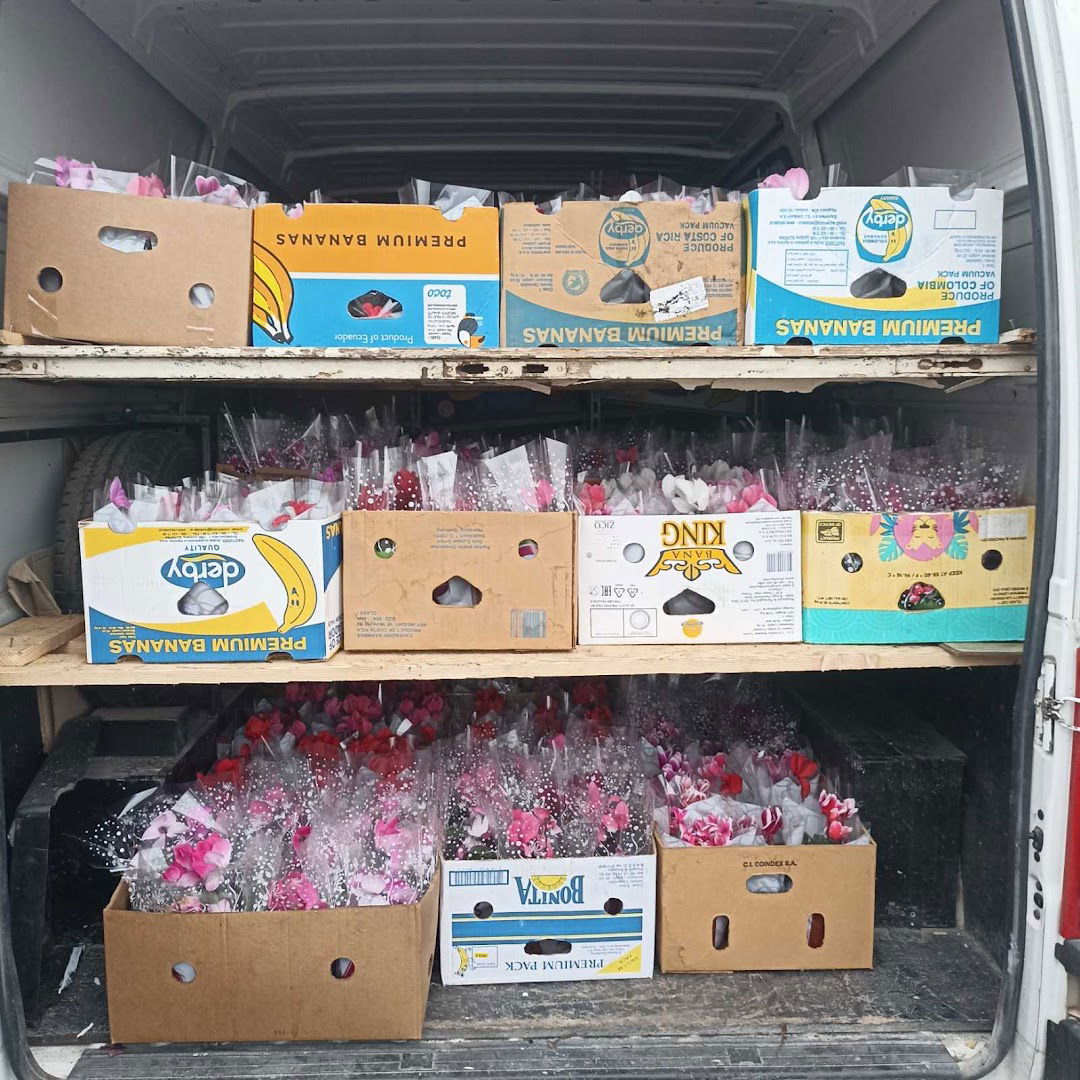 Rasadnik cveća Vujić - Florenca