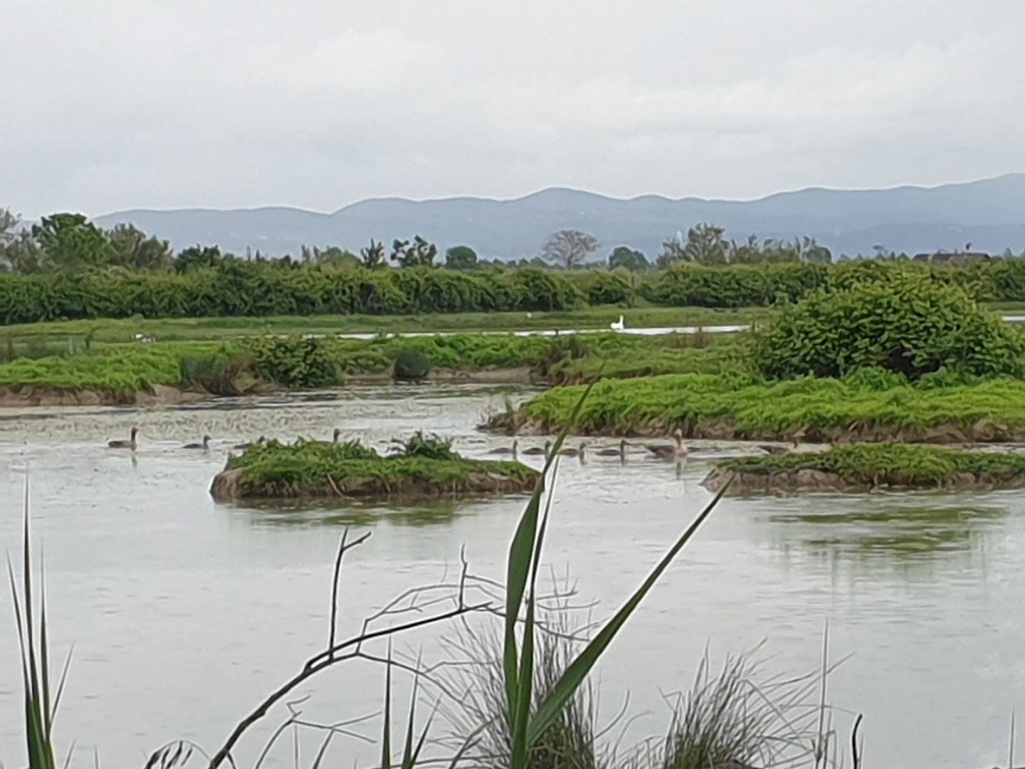 Visitor Center of the "Mouth of the Isonzo" Regional Nature Reserve