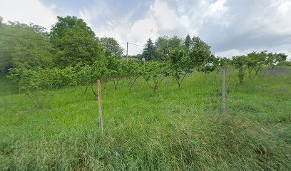 Poliklinika Hadrović