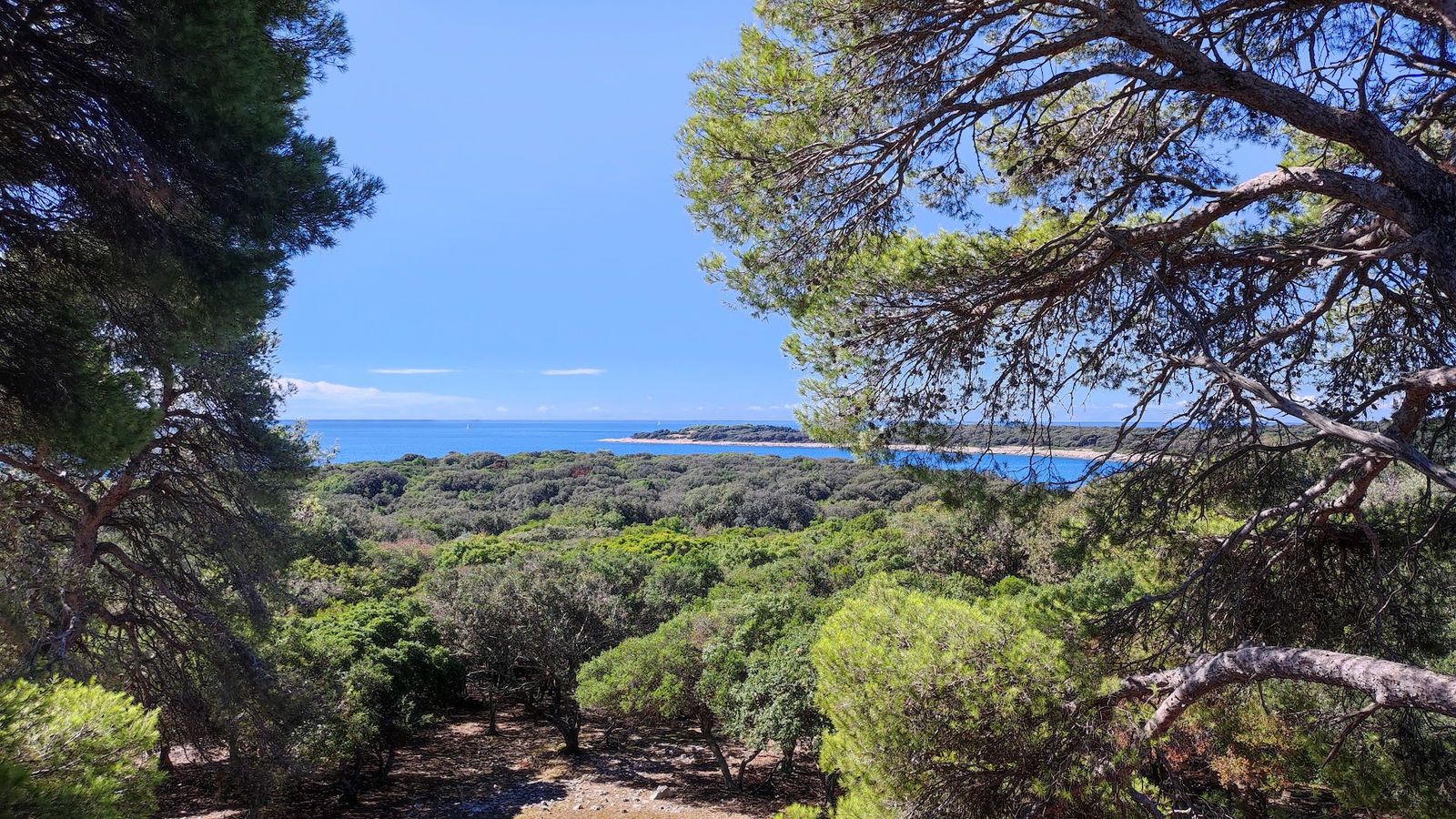 Viewpoint Javornik, NP Brijuni