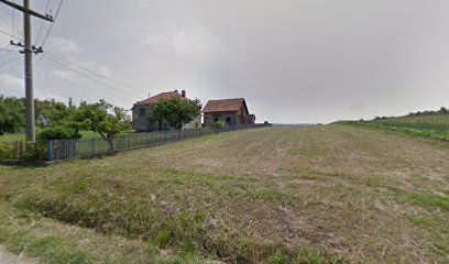 Ravni gaj - Vitkovica