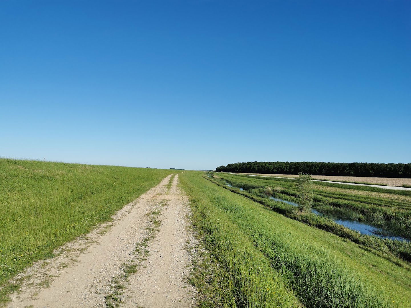 Nasip kanala Sava-Odra-Sava