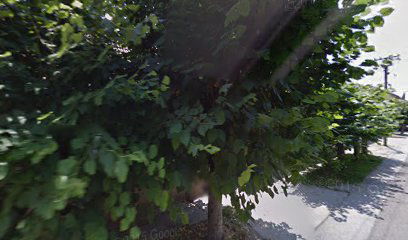 Moroslav Ilija Katic Bodrozic