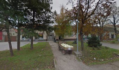 Advokatska kancelarija Anđela Ivanović (Rašić)