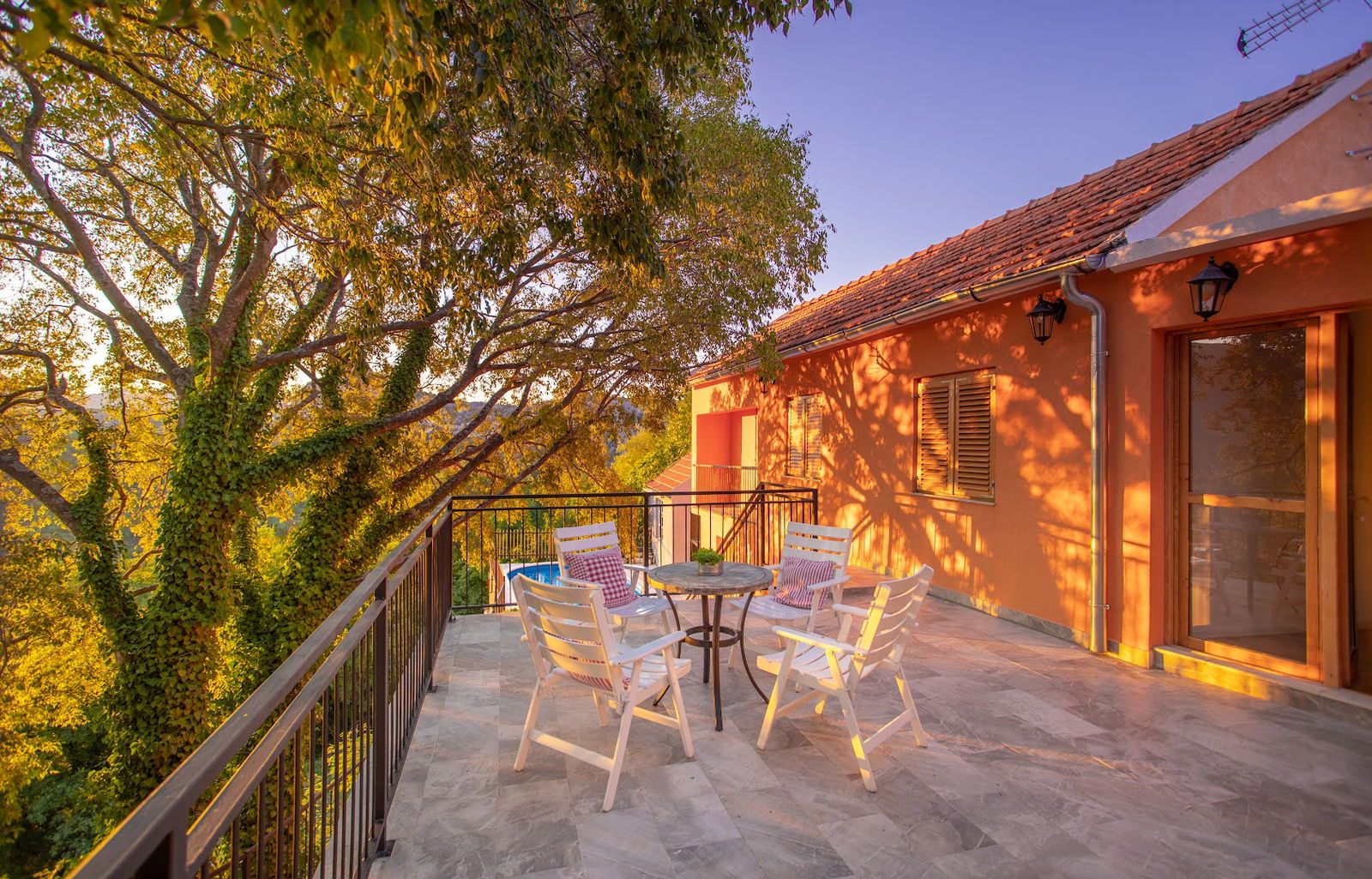 Dalmatian Green Peak