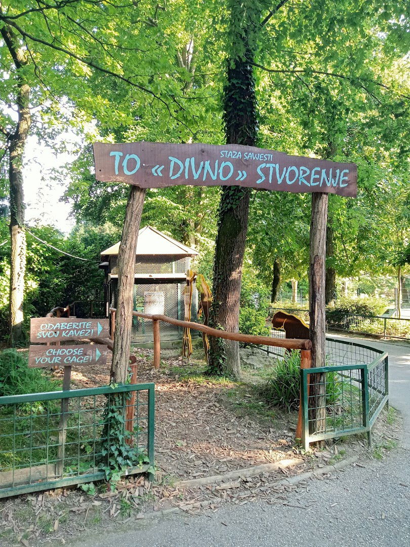 TO "Divno Stvorenje"