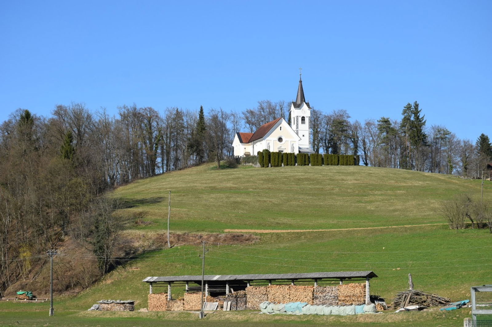 Občina Domžale