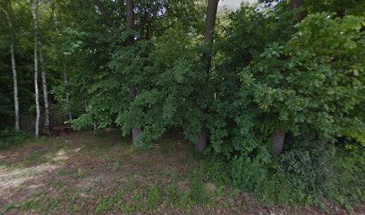 Amilovanozemunskamuskatisitni njut