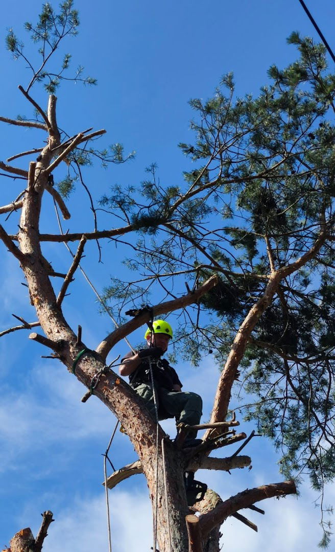 JO-JO obrt za usluge