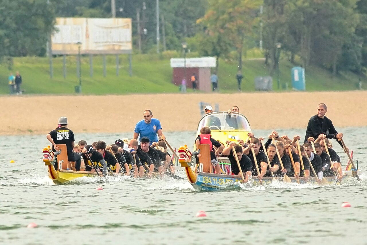 Srpski Dragon boat savez