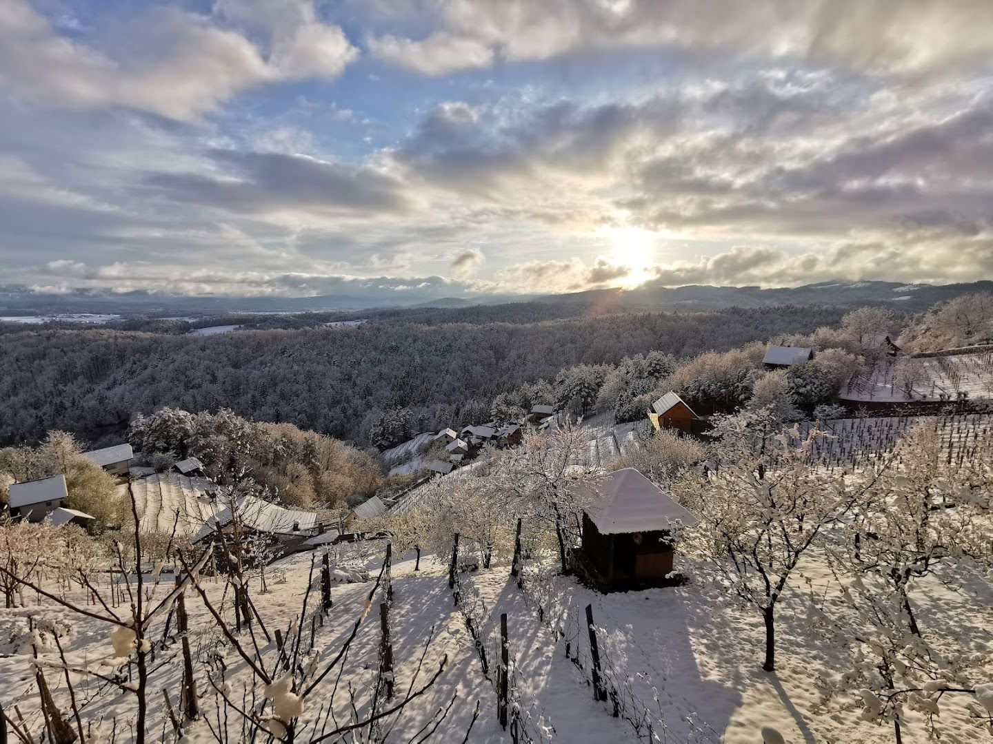 Vinogradniško-Sadjarsko turistično društvo debeli Hrib