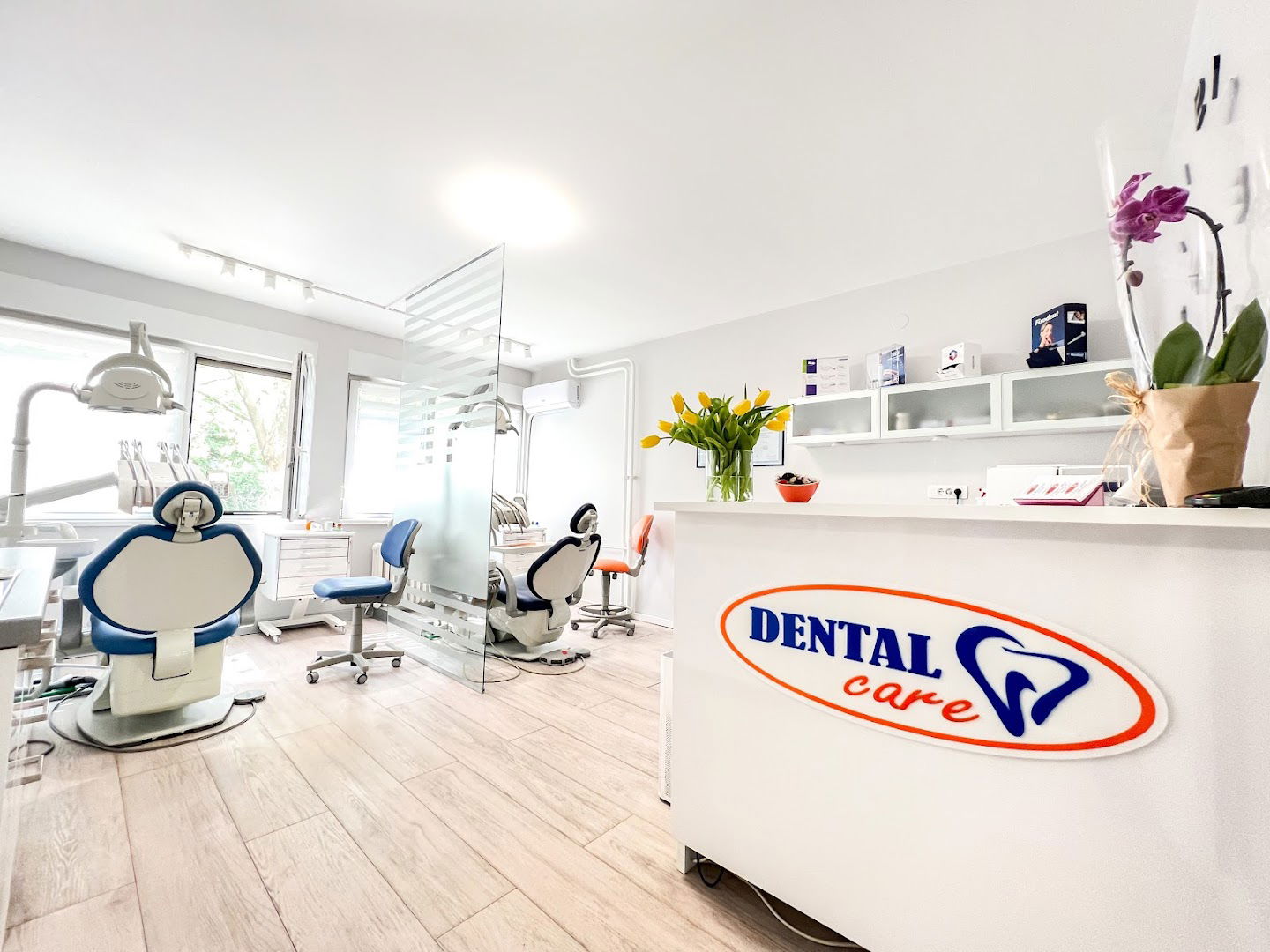 Dental Care
