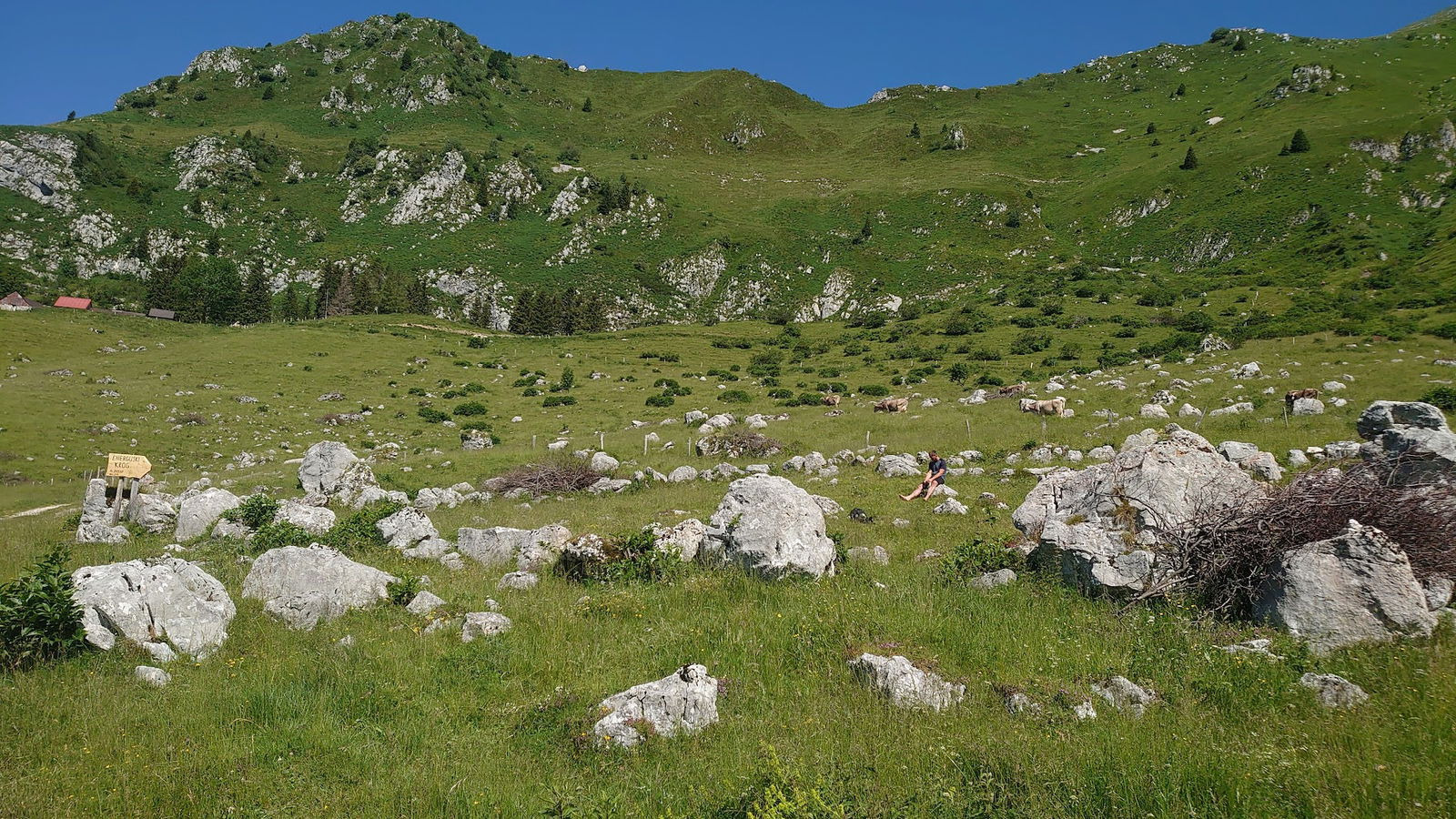 Megalitski krogi pod Krnom, The megalithic circle