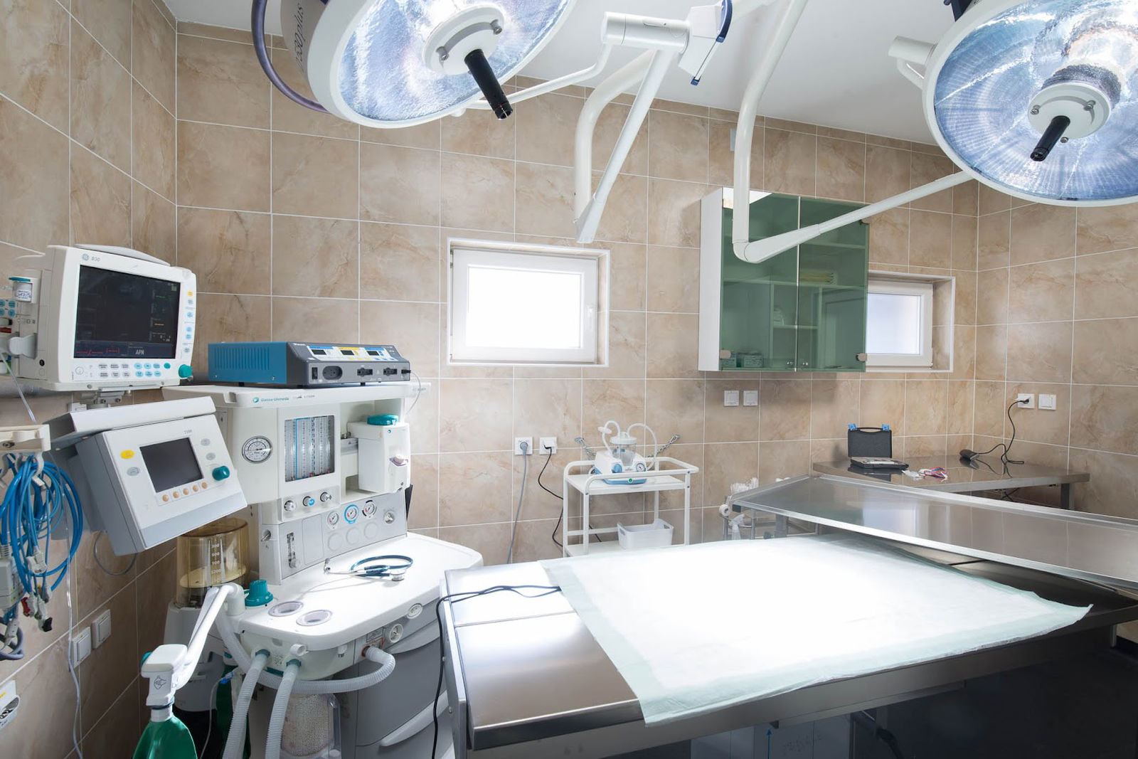 Mačji Kašalj i Pseća Posla