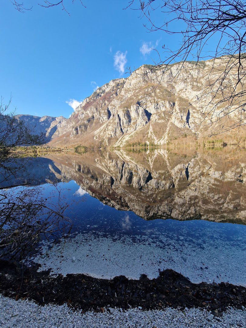 Turistično podjetje alpinum d.d.