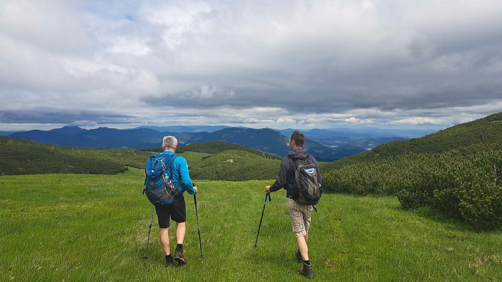 Pašna skupnost veža - Ravni