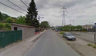 Vinogradska (Plandište)