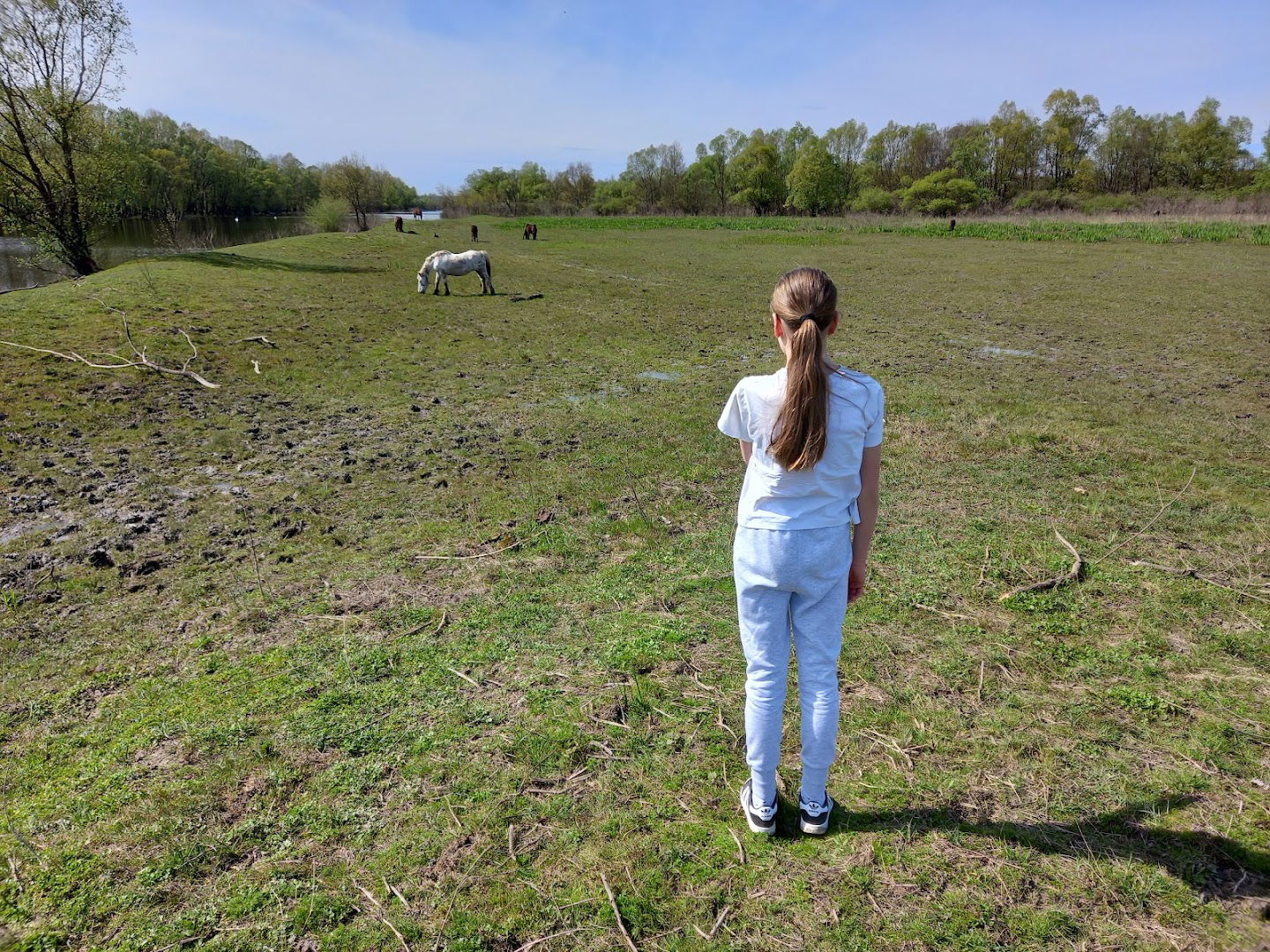 Čigoč - europsko selo roda