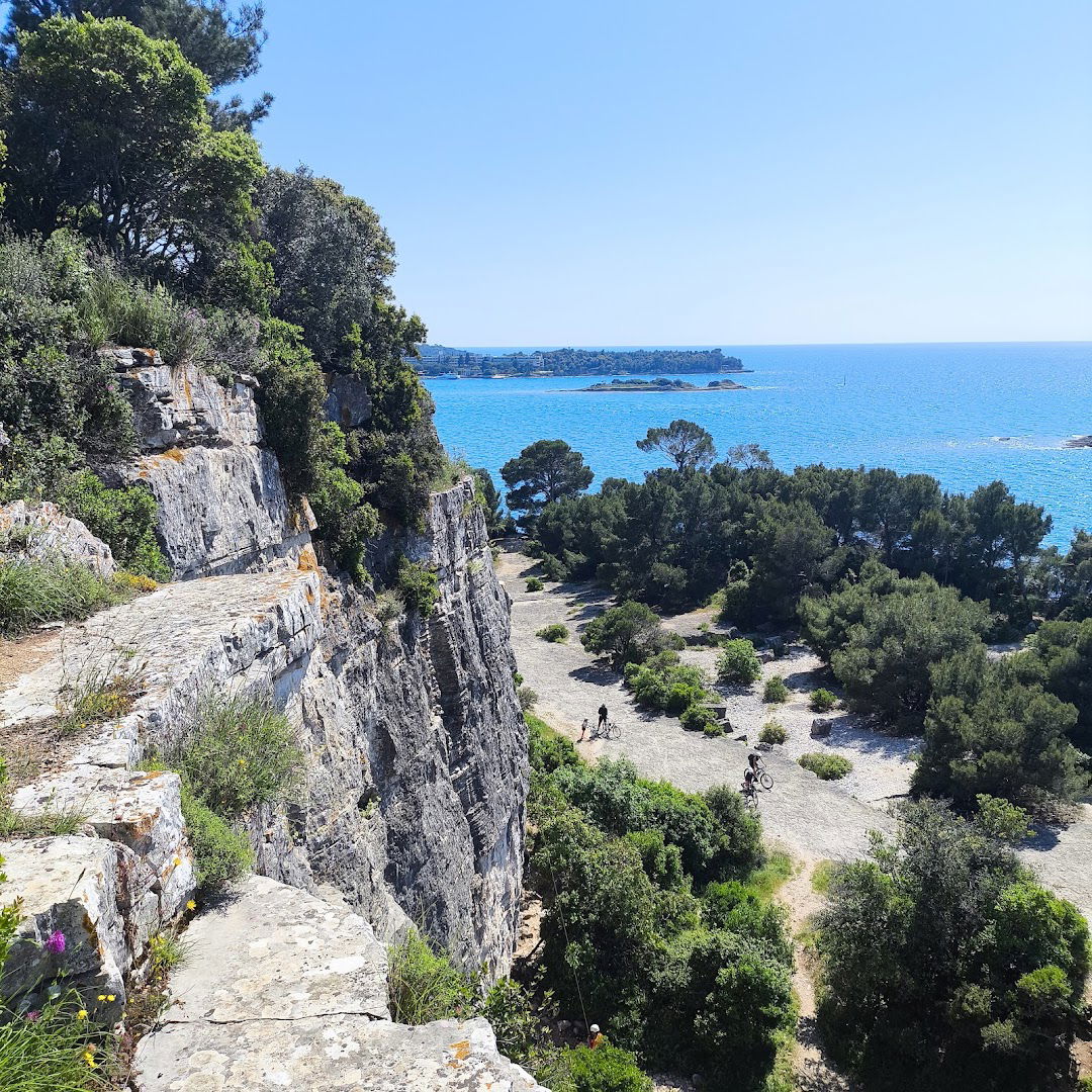 Golden cape view point