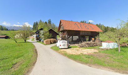 Tradija, prevajanje in jezikovno izobraževanje, Lidija Potočnik, S. P.