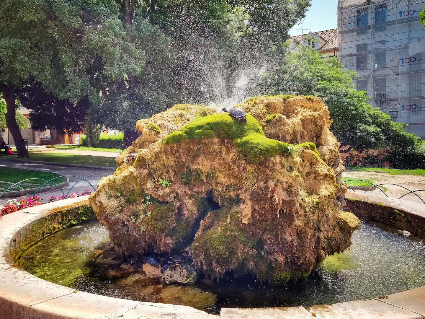 Turtles fountain