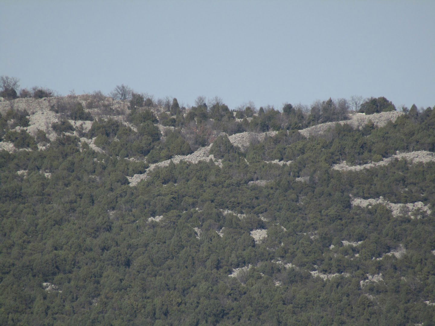 Ilirska gradina - Gnjezdac