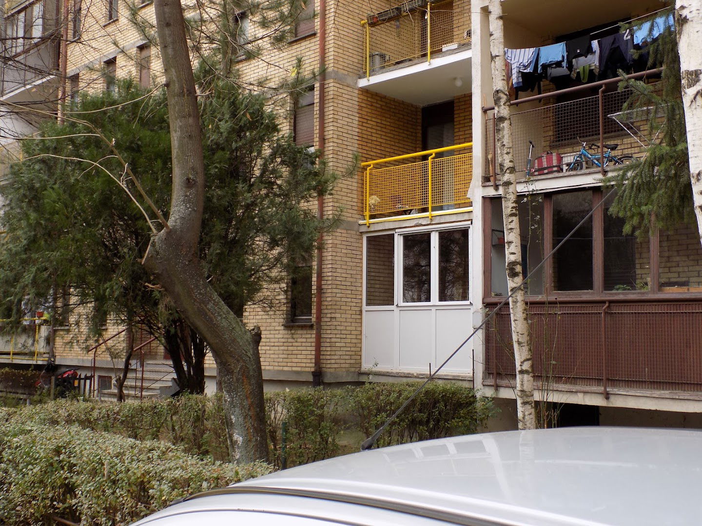 ALFA 1 Agencija za računovodstvene poslove i poresko savetovanje