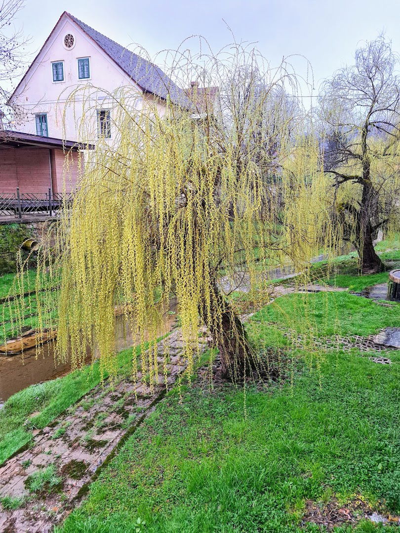 Dolenjske Toplice