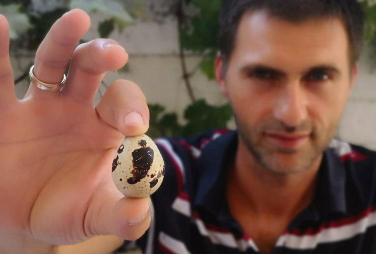 Farma Japanskih Prepelica - PG Damir Crevar