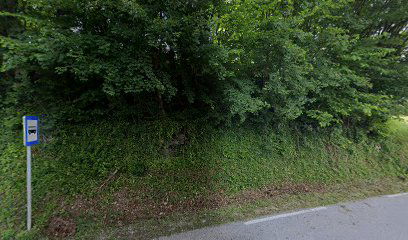 Goli Vrh/Podlehniku K