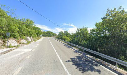 Krivodol Central Bus Station