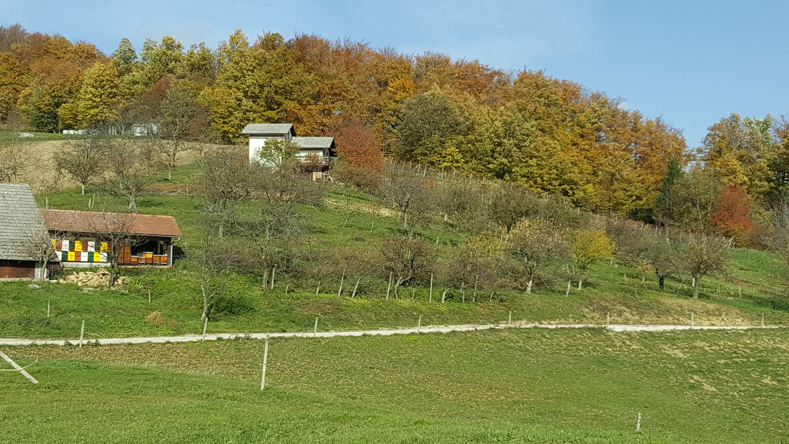 Zakošek Veronika - Ekološka kmetija Zakošek - Dopolnilna dejavnost na kmetiji