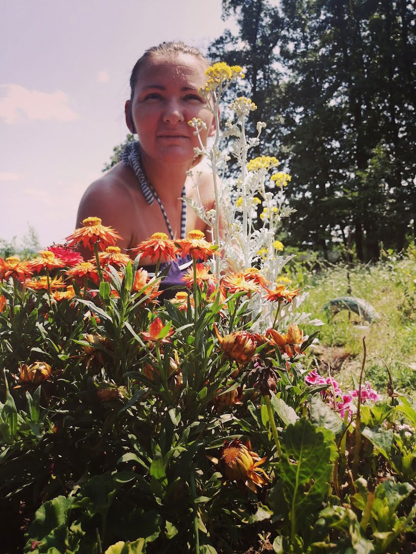 Stankovic dream house