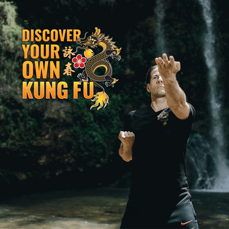 WING CHUN KUNG FU CROATIA