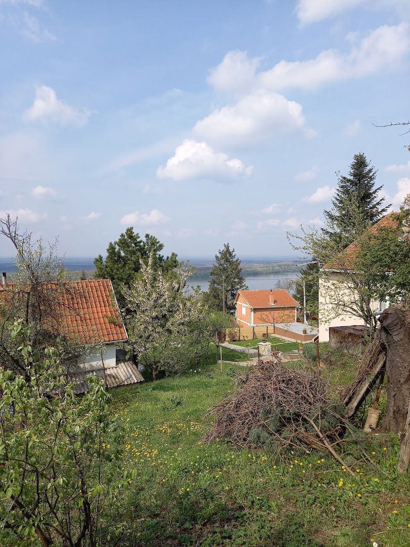 Стојчевић/Stojcevic