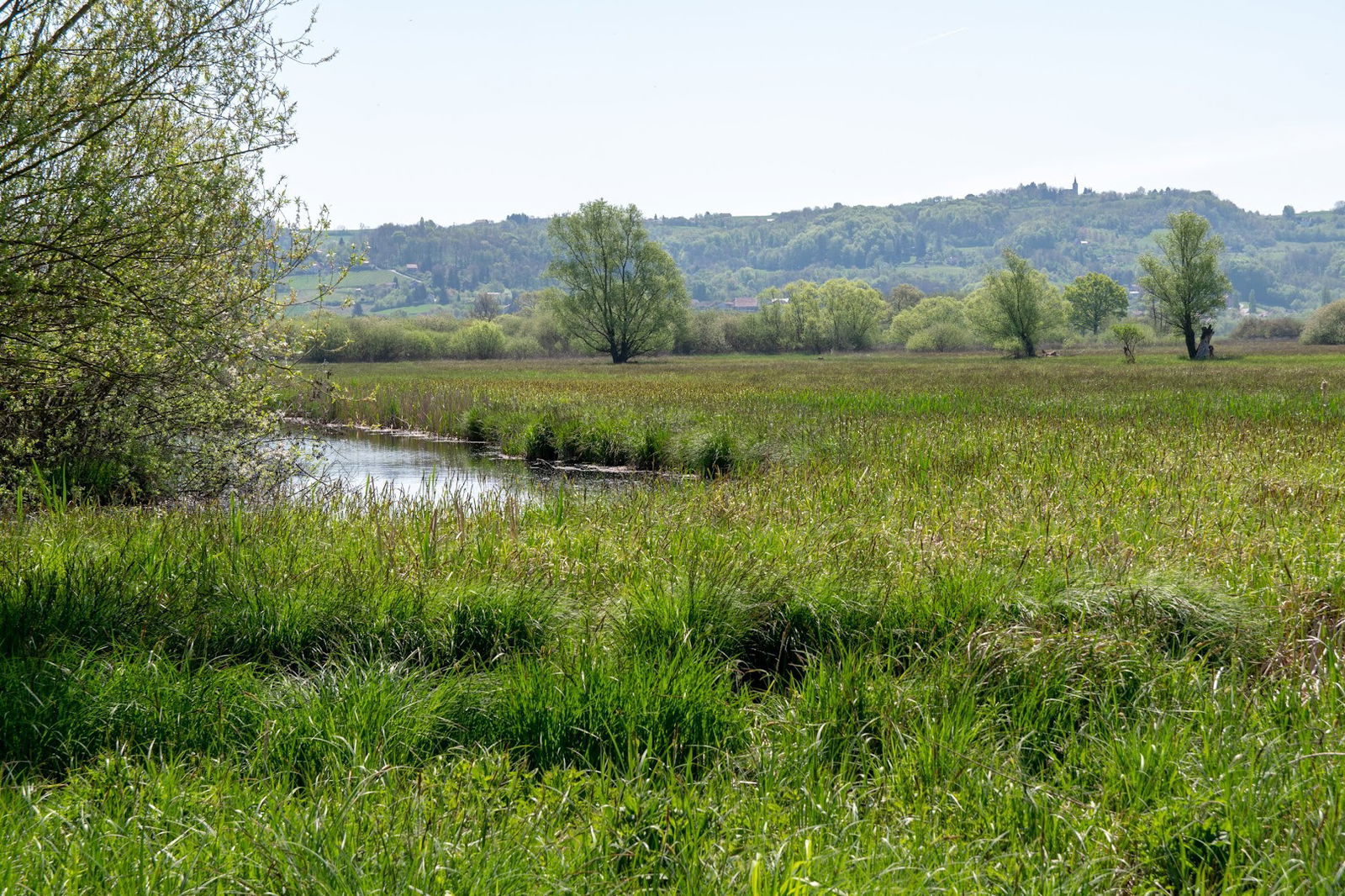 Naravni park Jovsi - Opazovalni stolp