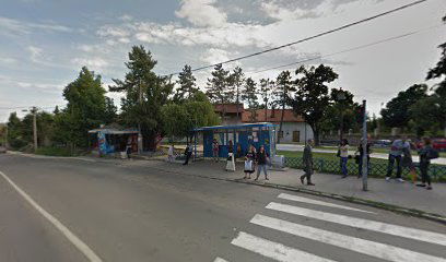 Soba u centru Grocke