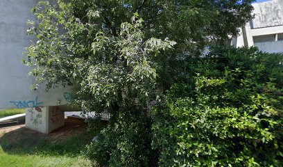 Karate Klub TAD Rijeka