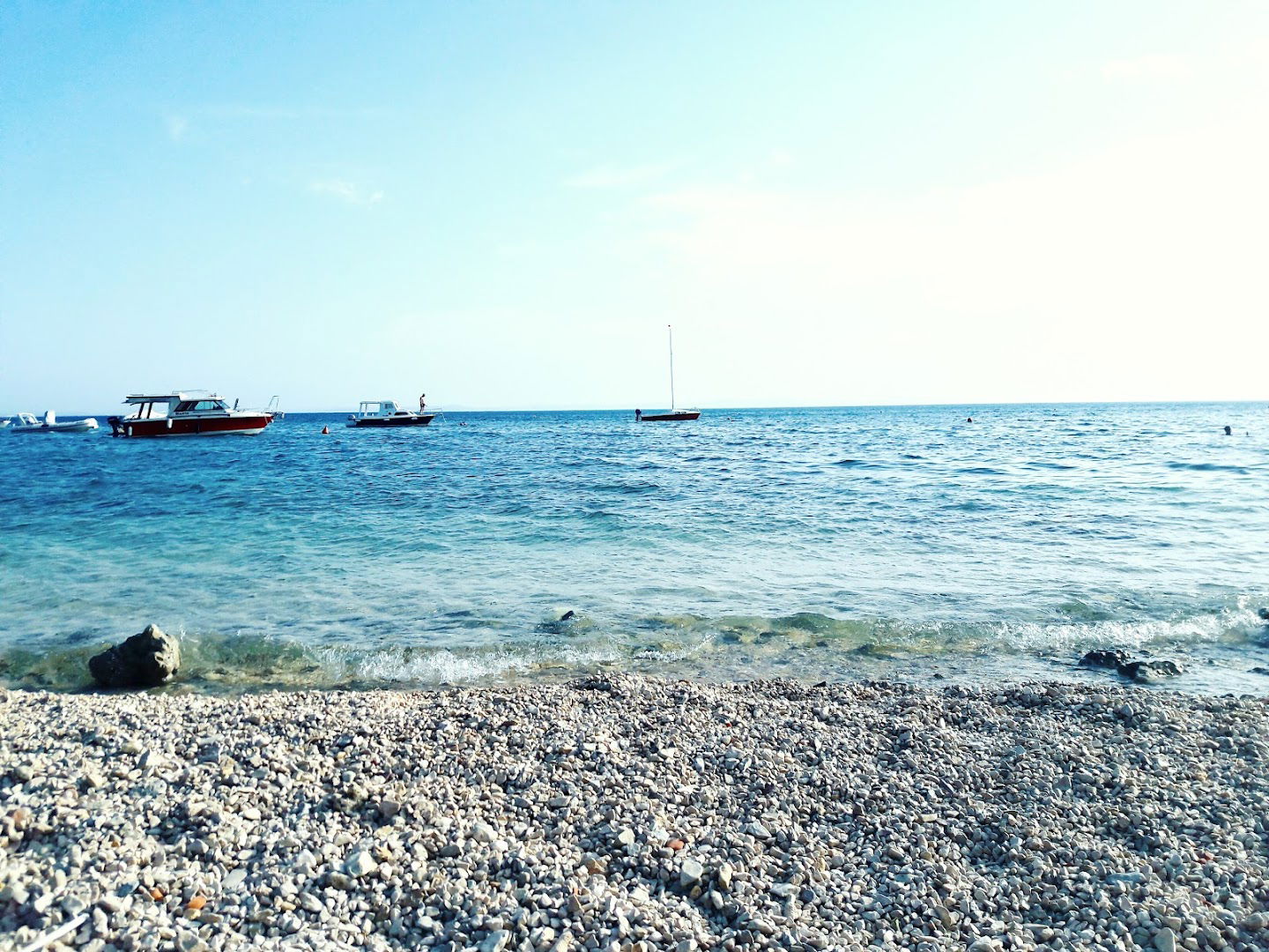 Bili galeb party beach