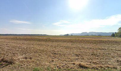 Paramotor okupljanje Cestica