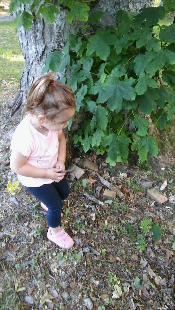 Lovački dom "Vepar"